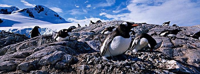 《赛博朋克2077》外包QA公司回应翻车：不正确有误解