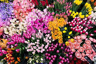 先菌子后小人 模拟游戏《羊肚菌：猎人2》现已正式发售